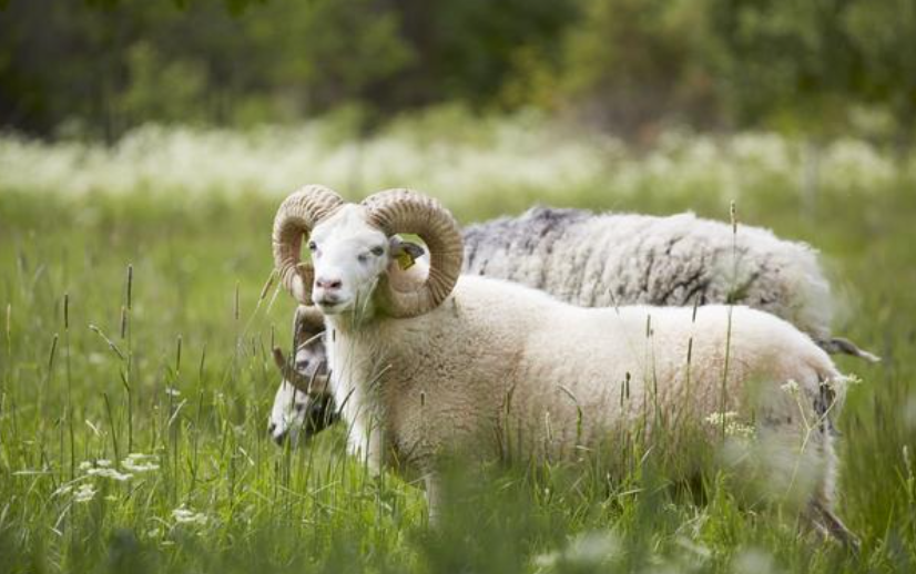 8276f4236e2b8fe792aacb9a47169e3f