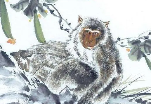 8dcffd7931c0b6f585e9ff07c96bedb7