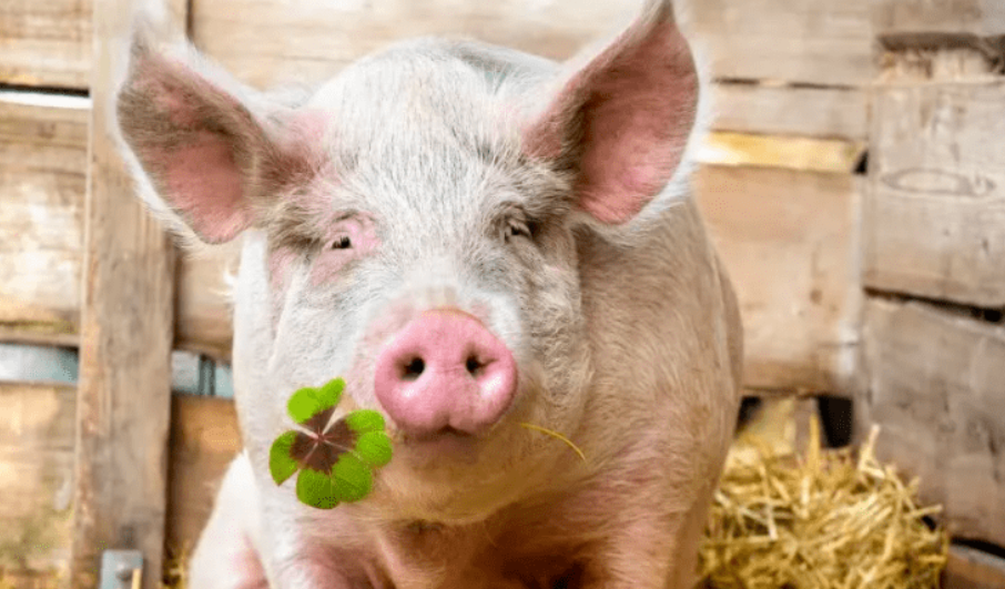 94dbbce0b18c2e204c034ceb92d5d02a