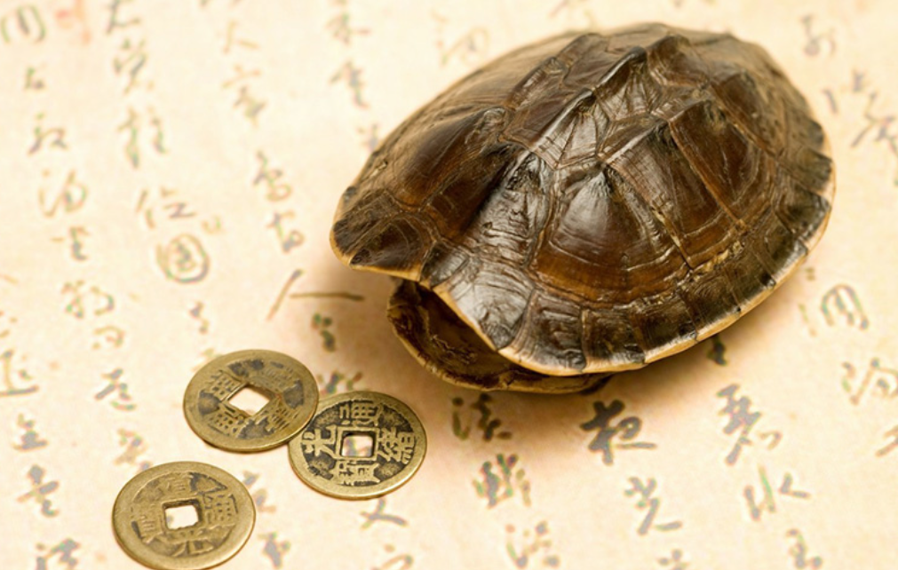 95896aebf704cb236225a99682025621-1