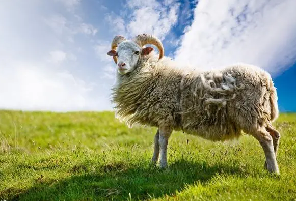 9bcc0c0a6f0baccac2ac8c8f7f8eebc5