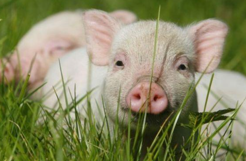 a139cf70a587e18a72a1b22ed7934c5b