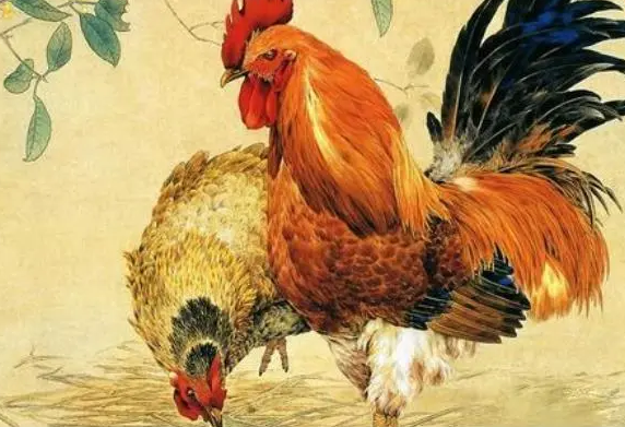 ae7443bf886bdf8a1980585046cd071f