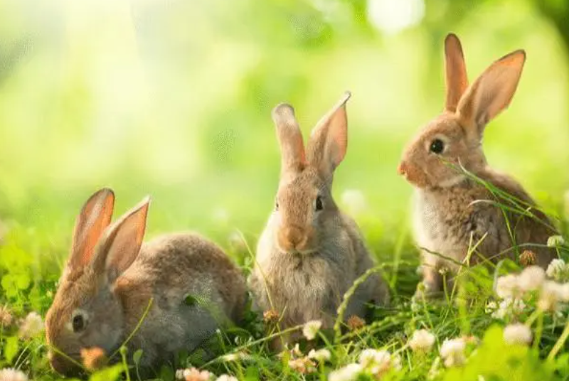 b3a073d4c8c32eca1ddb607a649676c6