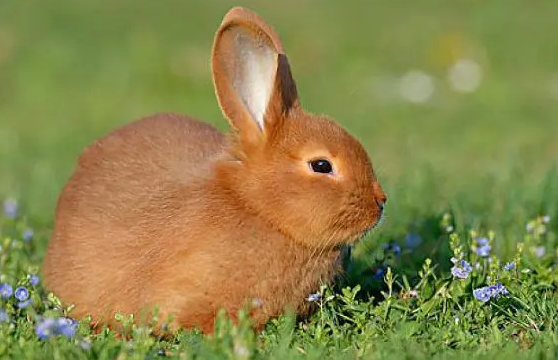 b7c6e0326d16e218b8938007668513a0 b7c6e0326d16e218b8938007668513a0