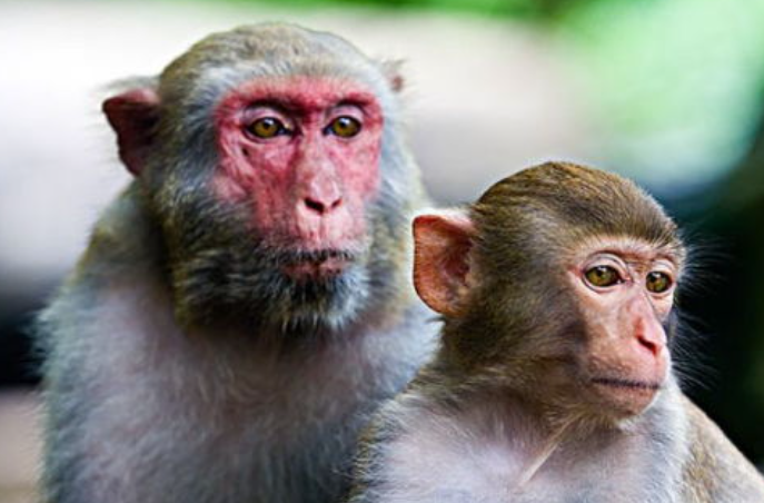 bf07c00128af18fc8ab816304c4e84e1