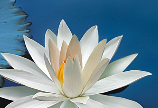 c3718a2832dce51cb8efa1e06bbcdd89 c3718a2832dce51cb8efa1e06bbcdd89