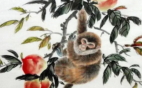 d3cafbbceff969e9a8a5cbc5867b81a3