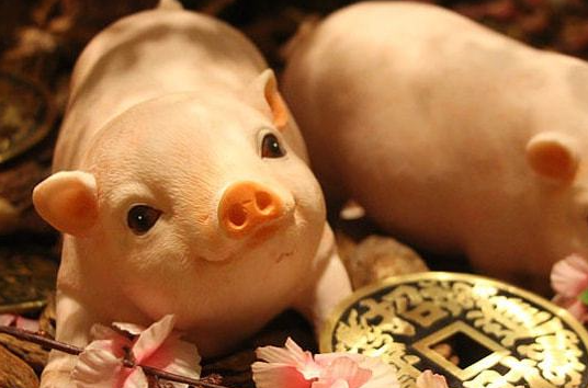 d43b506be6b367031595722db459cab0 d43b506be6b367031595722db459cab0