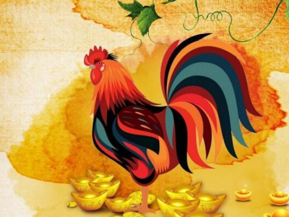 db65124b314b8f0795da2d83213f3495