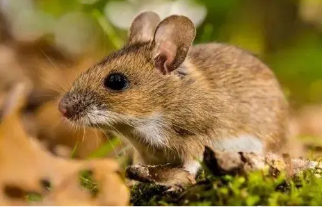 df401ffb556577c28b081d6dfeca2109