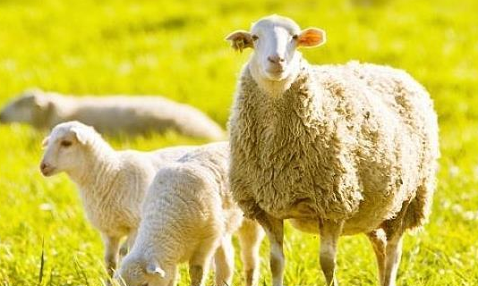 e074599cea7cdbb7681a514172abcfcf e074599cea7cdbb7681a514172abcfcf