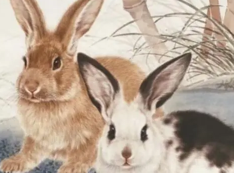 e774c9057152851156bbb367c465b8a1 e774c9057152851156bbb367c465b8a1