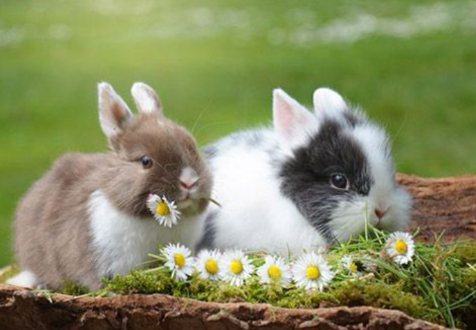 e8ca7749000624f9e25e1a607159fa33