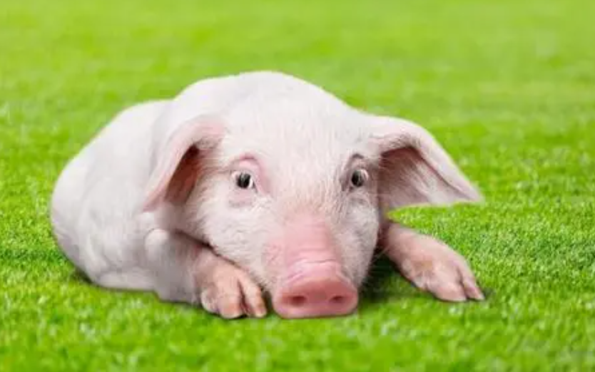 ebb0524ceece4c7b16654fe1e7ca974b