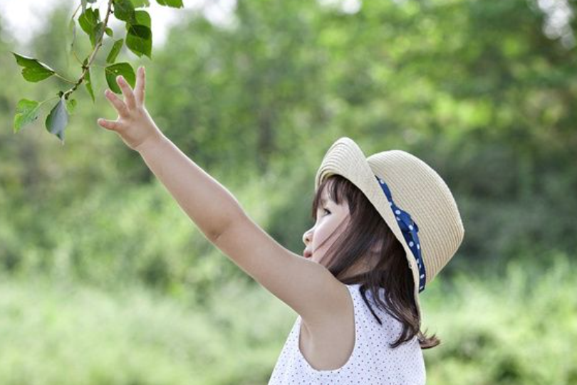 f4f4f9ef7ead9f067c432dd9c78fe163