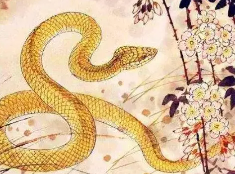 fa04cd32fc0b8e5626f8293bbfc832a9