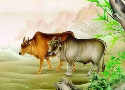 060dd2398ebe89c351c3c285e6d4efb6