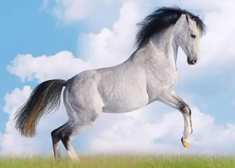 09b95a2e170114e5f12fe2ee28ee6c0b