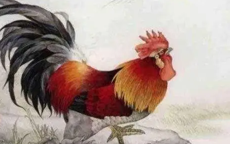 0d7eda07633ec065404b2c1c14eb027e