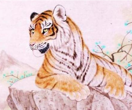 186a9a18bebf83873be57c2d6b028ead