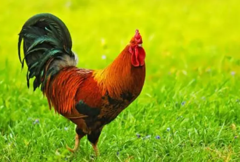 1a3b8b6a31665de94cc176a9d1c033ec