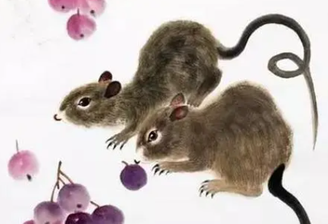 1b024b0d856d9536d38174d2992447a2