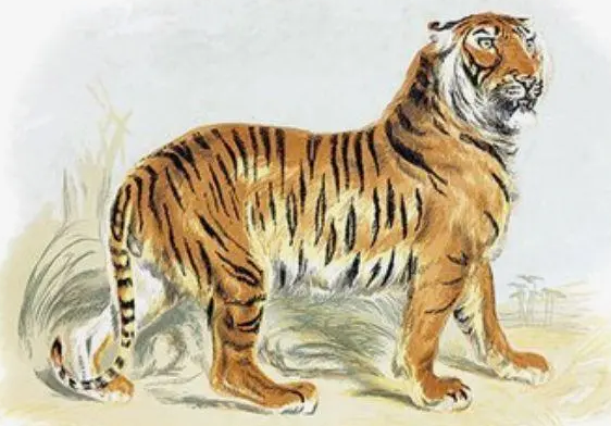 27a0f72eaa2566a060b79adcdbf1d4dc