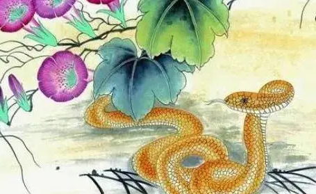 28da4a44b12e224a59c75414f24ee8fd