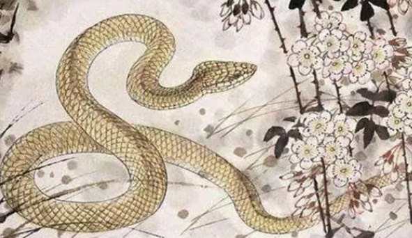 29da178aaa3d16ca69fce6f16603b39f