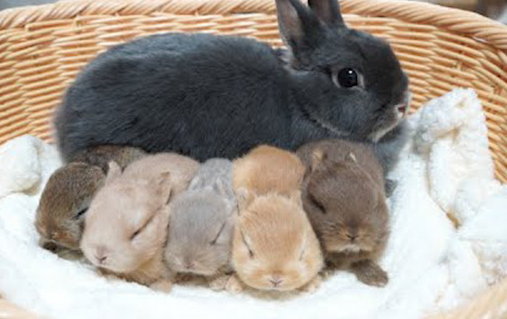 2b0cea9db22d9bb17735f20dc9462c96