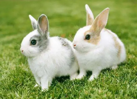 3815c475aad5eed9235484074913bea1