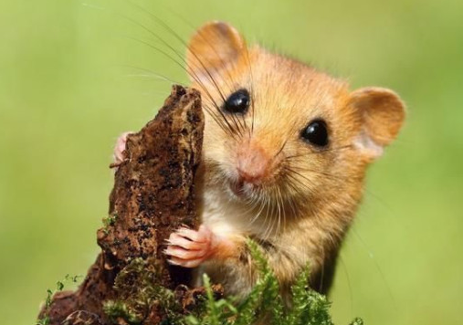 388dff8c868414e7cbfb159c86b1665d