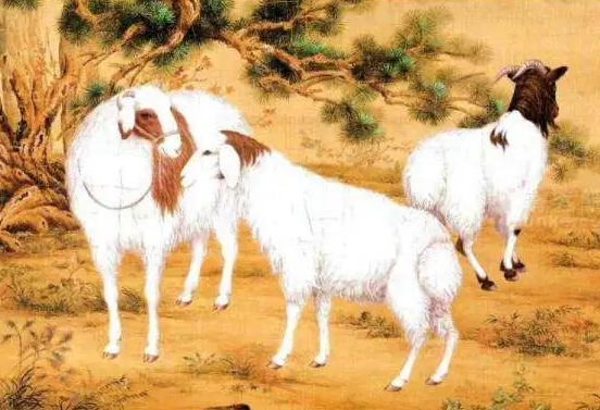 3a9cb40a123513e4e9483a691de90fd1