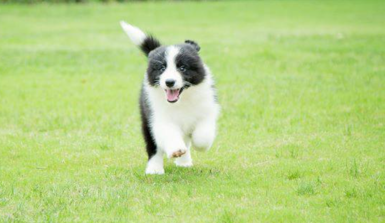 3d21676bd09b83358ed8c950b973842a