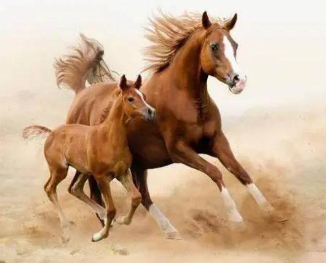 401a736c61f260d61508e0f5bc5f14b8