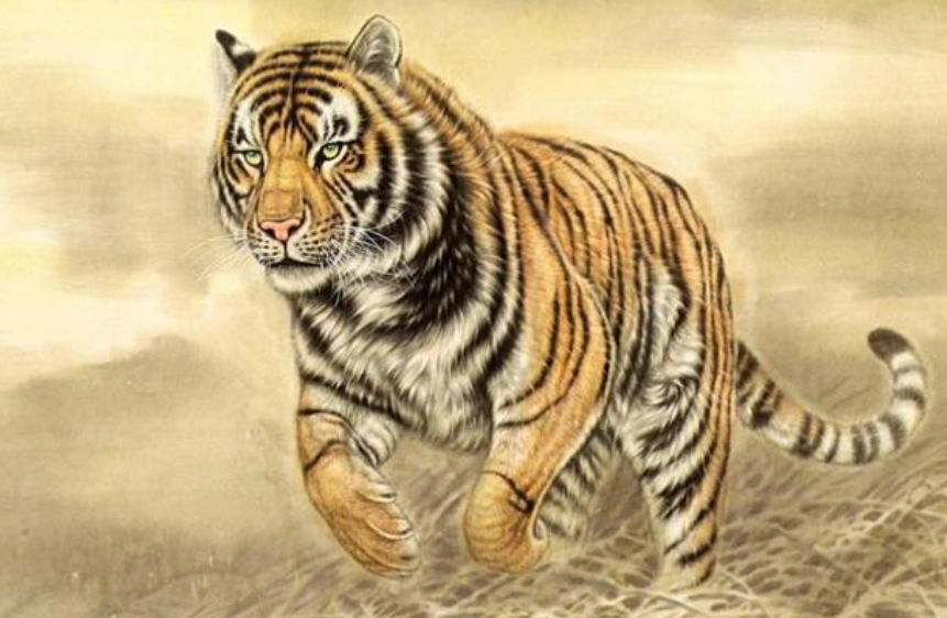 404252f2f7f19a29af66517a42cde461