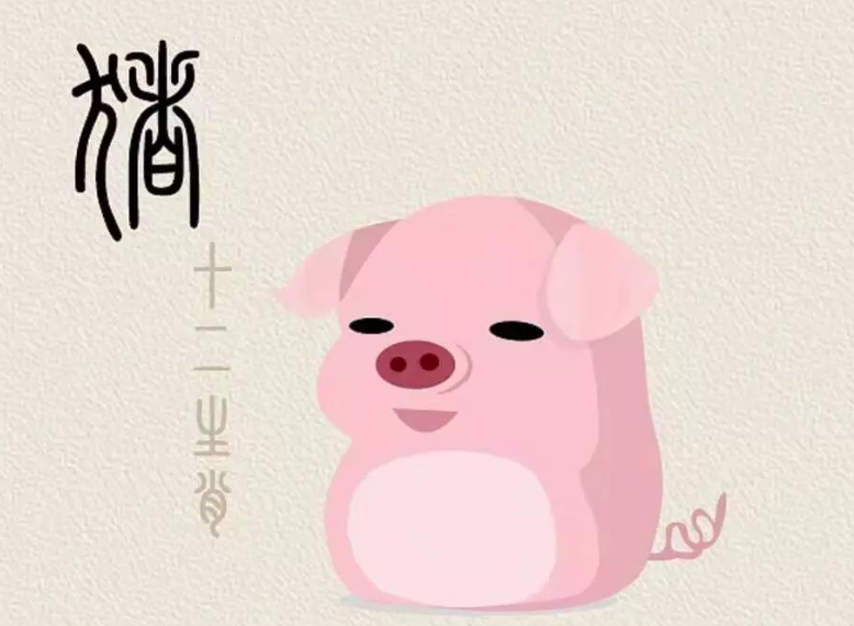 4f8e58085cdd3c012a23da6142041082