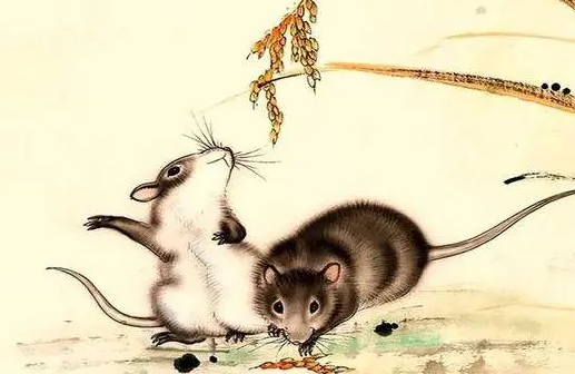 50888daba51a43154502ee67a3623ec0