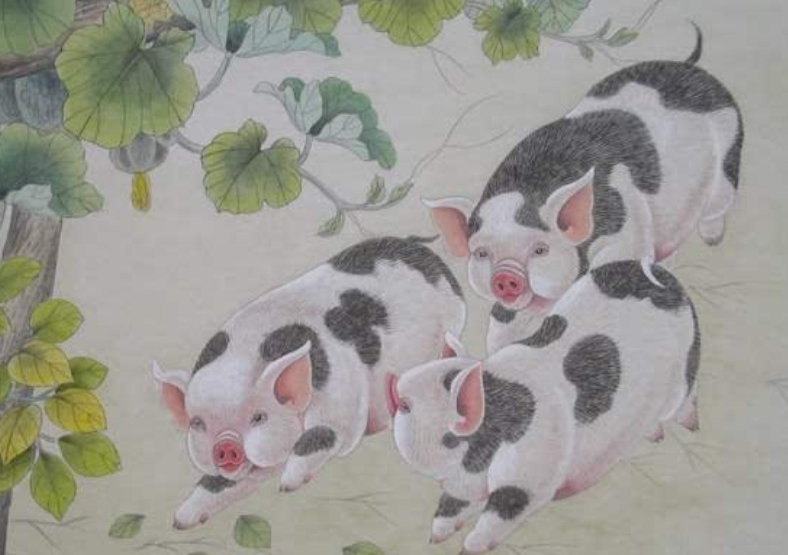 52c20a48b1616989609d03084c19d44a