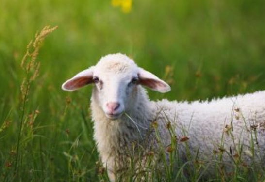 557a1b8c45fb5fe2795001a67457578b