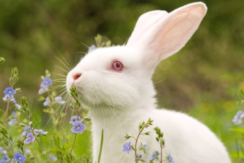 57de7f3ba3dd8dda4ccb1f774ea3d639