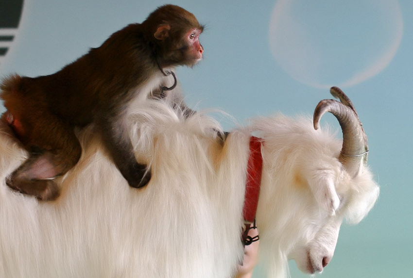 59d569af49c0ac3a13d3e08fc6a693fc