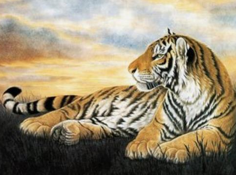 5e19b9b5f812caf34195c175a605aae5