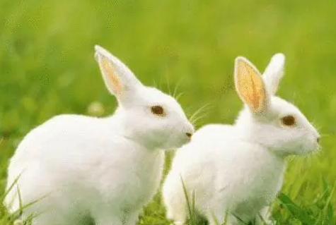 65b22ada96a28cb927bf018b839d93b2