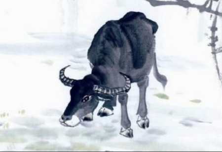 6f24e3cdbaed2408e91224ed45147b57