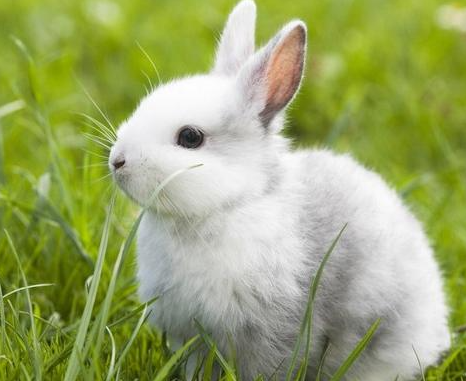 70aeb048aaa9f23eb96e8d620c0f9c3a