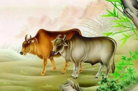 7104adb4047fa64d64386313a591c33a