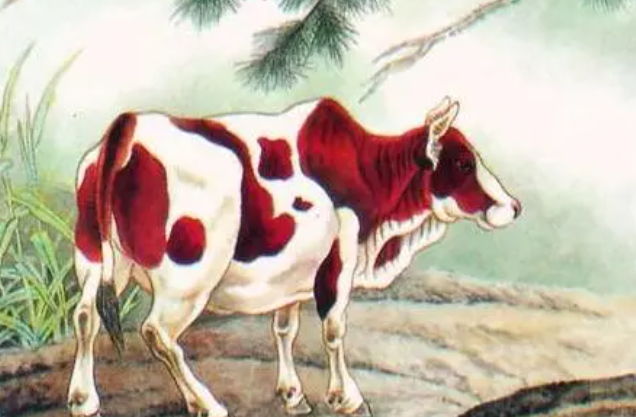 7305196403fb59a617b8d9eb786e95a3