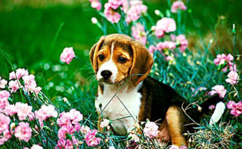 750d30246f55297160b05ff73413dae6